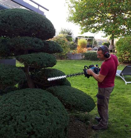 Gartenanlage & Gartenpflege Bremen