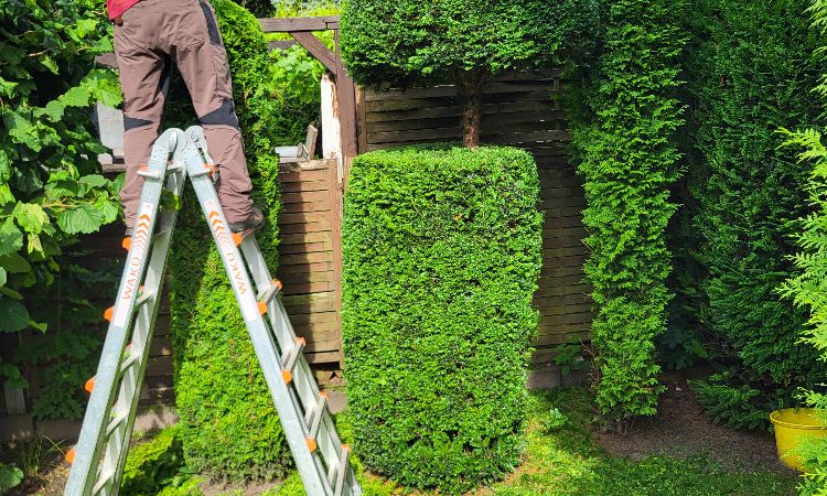 Gartengestaltung
