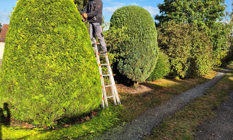 Gartengestaltung
