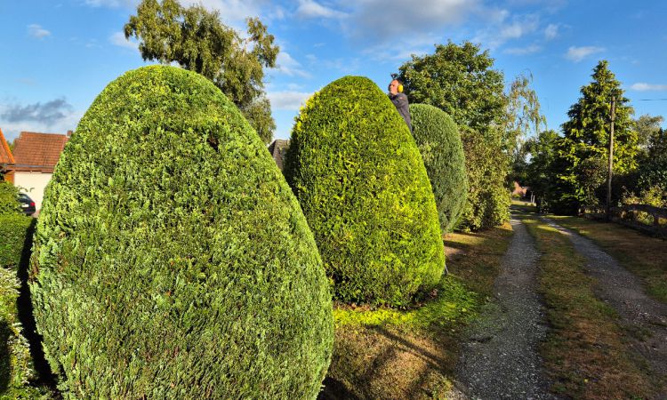 Gartengestaltung