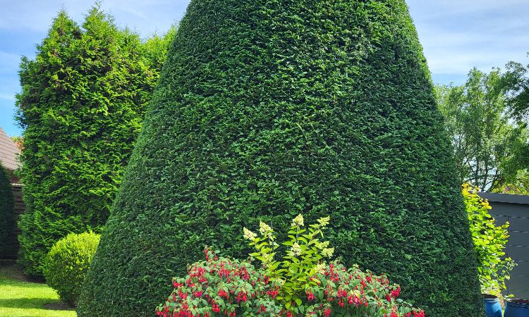 Gartengestaltung