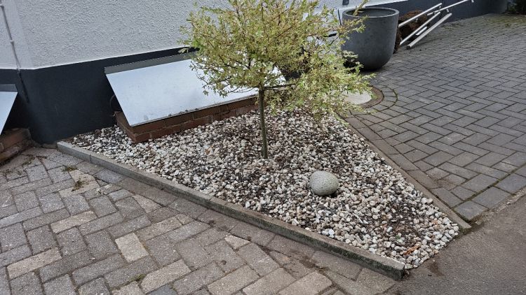 Pflanzarbeiten Beete